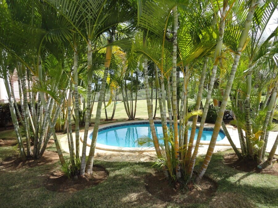 apartamento-sin-muebles-alquiler-laguna-golf-white-sands-bavaro (13)